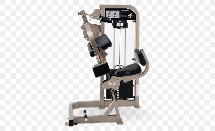 Biceps Curl Life Fitness Exercise Equipment Physical Fitness, PNG, 500x500px, Biceps Curl, Biceps, Exercise, Exercise Equipment, Exercise Machine Download Free