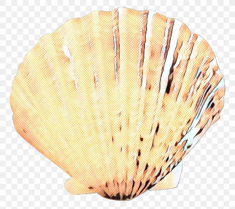 Cockle Shell, PNG, 1399x1243px, Cockle, Bivalve, Clam, Conch, Conchology Download Free