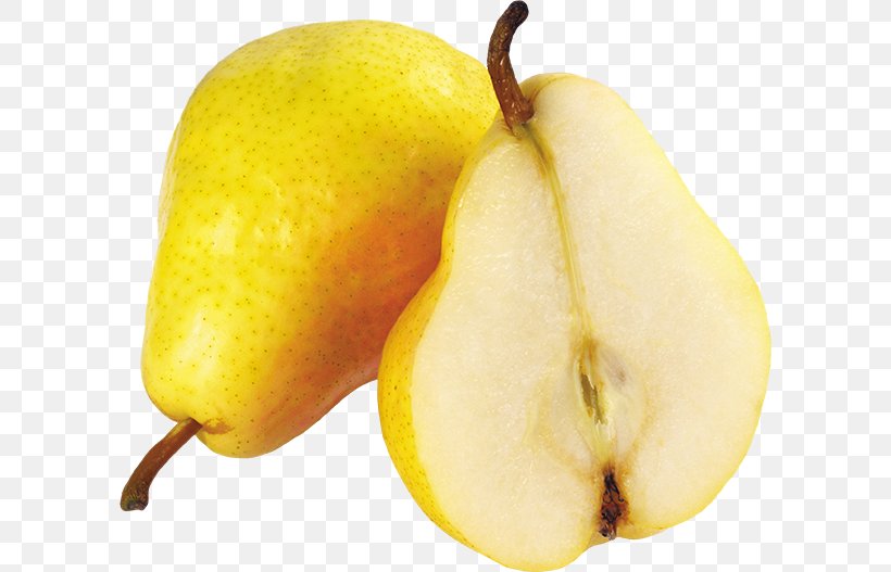 Pear Fruit Clip Art, PNG, 600x527px, Pear, Copying, Food, Fruit, Image File Formats Download Free
