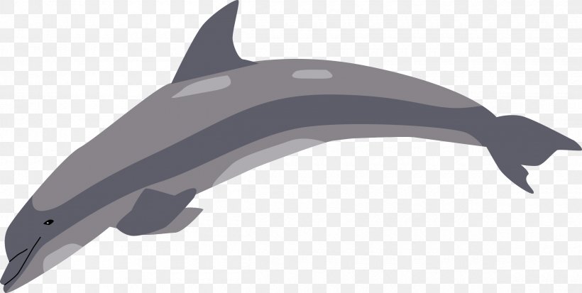 Tucuxi Common Bottlenose Dolphin Porpoise Clip Art, PNG, 2400x1209px, 2017, Tucuxi, Automotive Design, Black And White, Bottlenose Dolphin Download Free