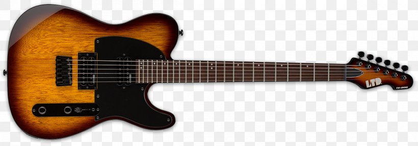 Acoustic Guitar Electric Guitar Bass Guitar Fender Musical Instruments Corporation Fender Precision Bass, PNG, 1200x422px, Acoustic Guitar, Acoustic Electric Guitar, Acousticelectric Guitar, Bass, Bass Guitar Download Free