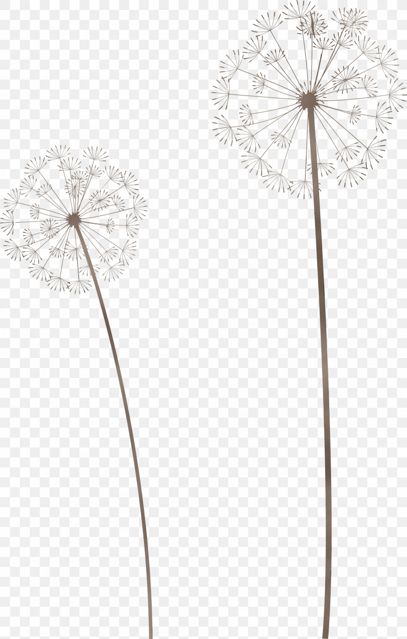 Cut Flowers Flower Petal Flora Line, PNG, 1914x3000px, Dandelion, Biology, Cut Flowers, Flora, Flower Download Free