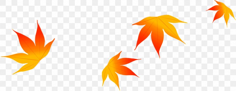 Maple Leaf Autumn, PNG, 1275x491px, Maple Leaf, Autumn, Computer, Leaf, Maple Download Free