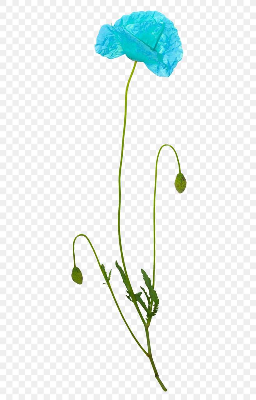 Petal Flower Graphic Design Clip Art, PNG, 446x1280px, Petal, Autumn, Flora, Flower, Flowering Plant Download Free