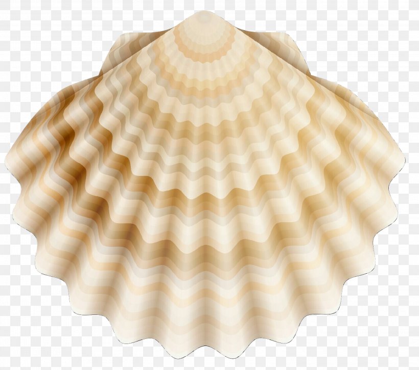 Clip Art Seashell Clam Cockle, PNG, 3000x2657px, Seashell, Beige, Bivalve, Clam, Cockle Download Free