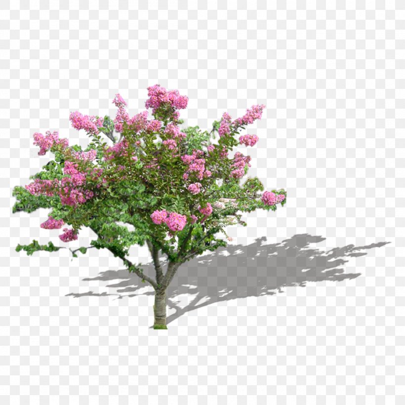 Tree Garden Shrub Twig Rock, PNG, 1100x1100px, Tree, Blossom, Branch, Common Lilac, Cut Flowers Download Free