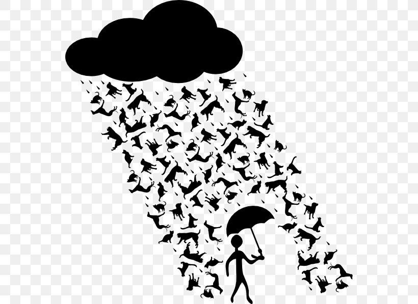 Cats & Dogs Cats & Dogs Mouse Rain, PNG, 564x597px, Cat, Black, Black And White, Branch, Cat Play And Toys Download Free