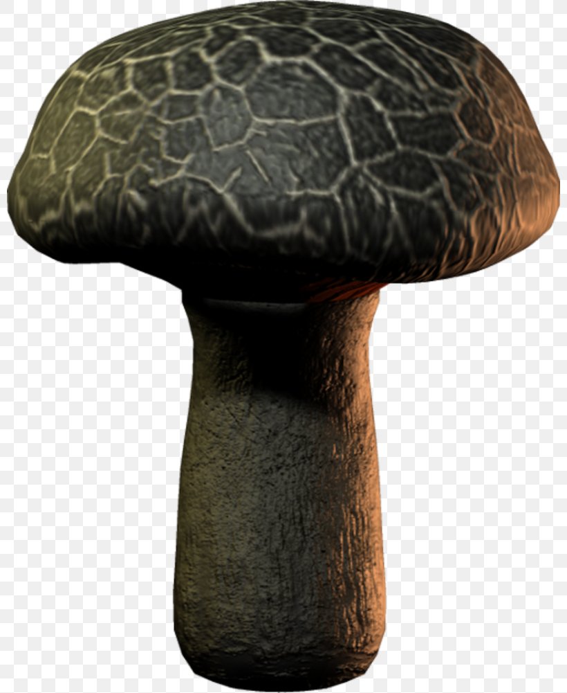 Digital Image Mushrooms Clip Art, PNG, 800x1001px, Digital Image, Mushroom, Mushrooms, Online And Offline Download Free