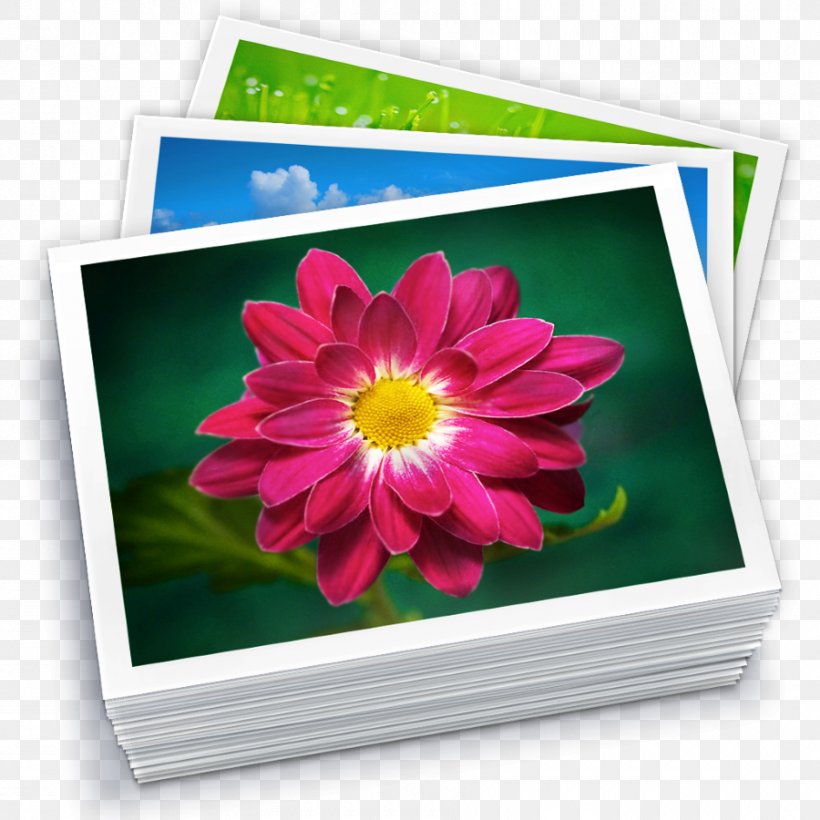 IPhoto Library Apple Photos MacOS, PNG, 900x900px, Iphoto, Aperture, Apple Photos, Backup, Chrysanths Download Free