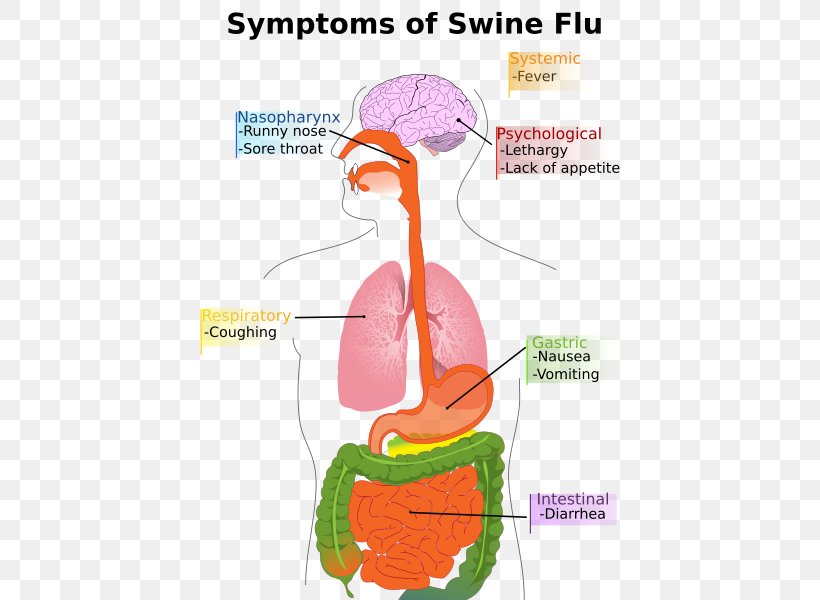 Swine Influenza Influenza A Virus Subtype H1N1 Pig Symptom, PNG, 424x600px, Watercolor, Cartoon, Flower, Frame, Heart Download Free