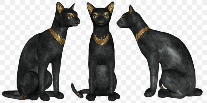 Bombay Cat Havana Brown Black Cat Domestic Short-haired Cat Clip Art, PNG, 1280x640px, Bombay Cat, Animal, Black Cat, Bombay, Carnivora Download Free