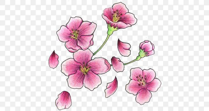 Cherry Blossom Tattoo Flash, PNG, 450x437px, Blossom, Art, Cherry, Cherry Blossom, Creativity Download Free