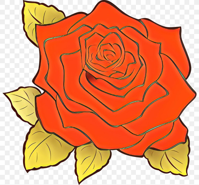 Garden Roses, PNG, 800x762px, Garden Roses, Cut Flowers, Floribunda, Flower, Hybrid Tea Rose Download Free