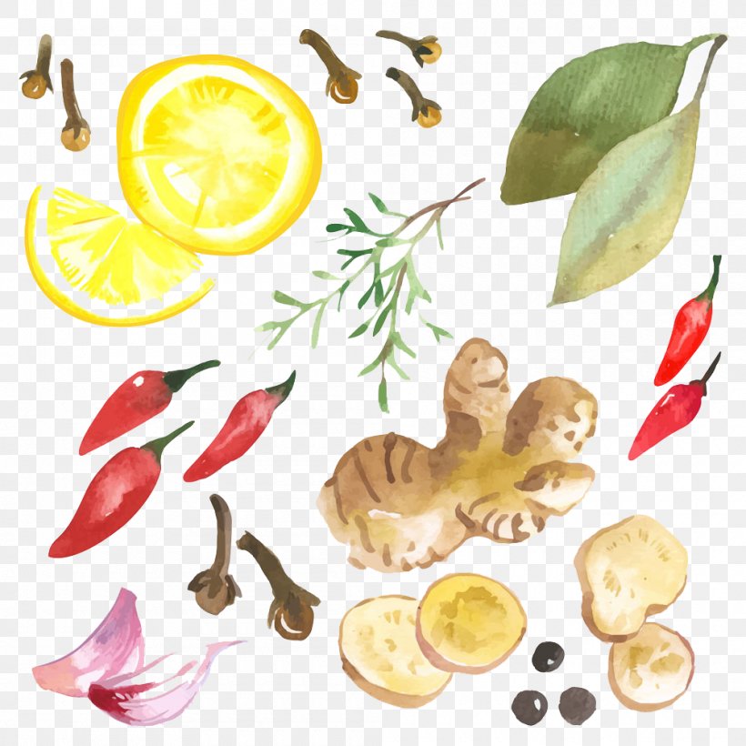 Ginger Thai Cuisine Illustration, PNG, 1000x1000px, Ginger, Capsicum Annuum, Cartoon, Condiment, Flower Download Free