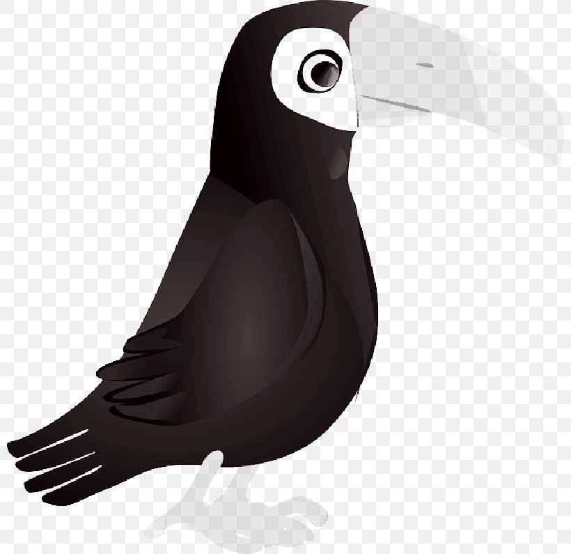 Bird Clip Art Beak White-throated Toucan Keel-billed Toucan, PNG, 800x795px, Bird, Aracari, Beak, Channelbilled Toucan, Flightless Bird Download Free