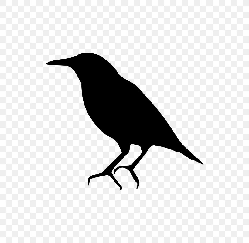 Bird Silhouette, PNG, 618x800px, Common Starling, American Crow, Beak, Bird, Bird Migration Download Free