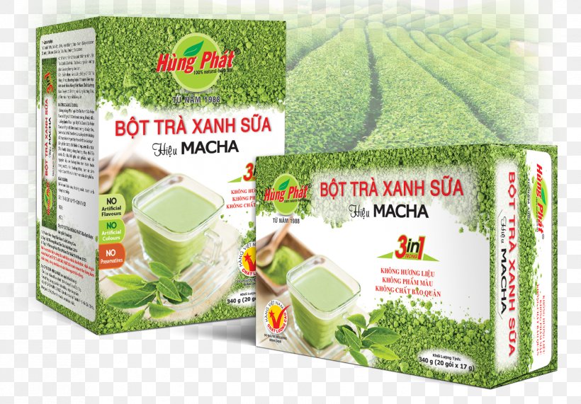 Matcha Green Tea Milk Latte, PNG, 1653x1153px, Matcha, Baked Mooncake, Black Tea, Chrysanthemum Tea, Dolce Gusto Download Free