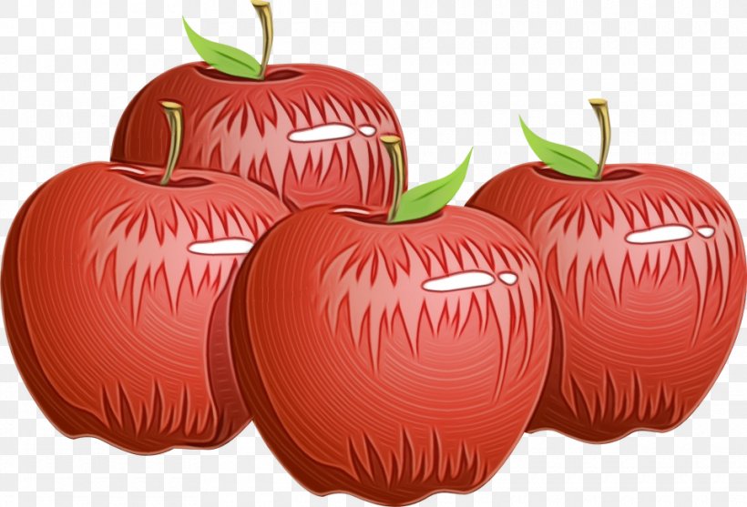 Natural Foods Fruit Red Apple Plant, PNG, 960x653px, Watercolor, Apple, Food, Fruit, Natural Foods Download Free