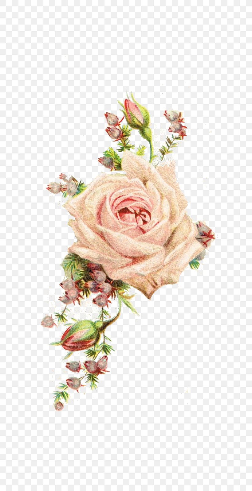 Paper Rose Antique Flower Vintage Clothing, PNG, 640x1600px, Paper, Antique, Artificial Flower, Craft, Cut Flowers Download Free