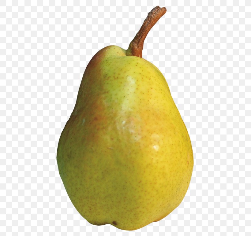 Pear Fruit Clip Art, PNG, 500x772px, Pear, Accessory Fruit, Apple, Avocado, Berry Download Free