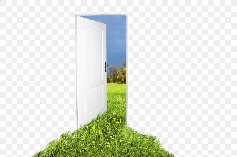 Stock Photography Door Royalty-free, PNG, 1000x667px, Stock Photography, Depositphotos, Door, Grass, Green Download Free