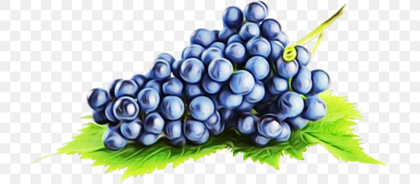 Watercolor Liquid, PNG, 697x360px, Wine, Aroma, Berry, Bilberry, Blueberry Download Free