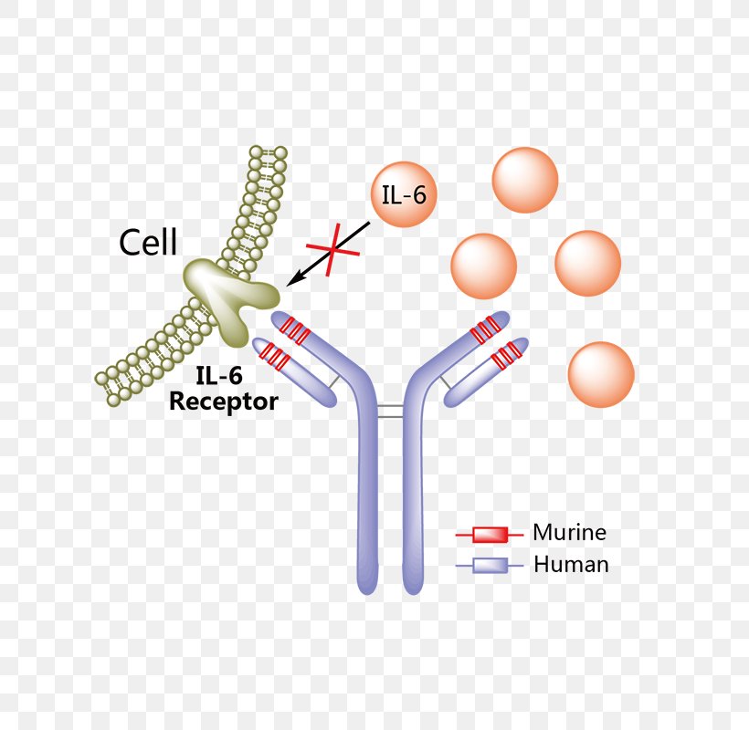 Daclizumab Tocilizumab Monoclonal Antibody Therapy, PNG, 800x800px, Daclizumab, Adalimumab, Antibody, Chronic Childhood Arthritis, Diagram Download Free