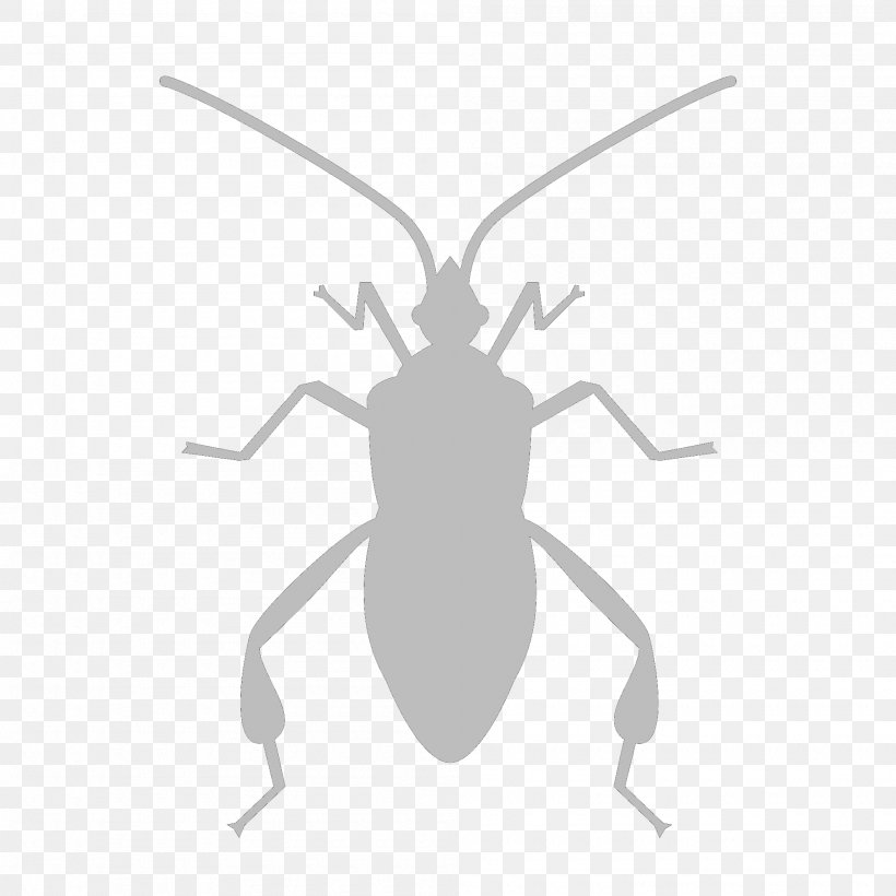Insect Software Bug, PNG, 2000x2000px, Insect, Ant, Arthropod, Black And White, Computer Software Download Free
