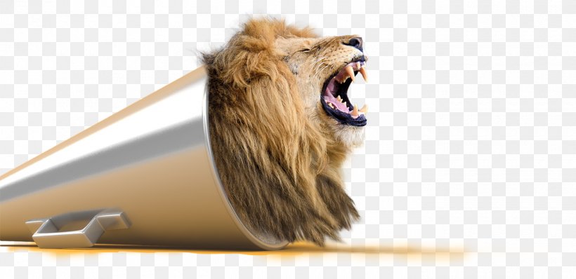 Lion Visual Perception Creativity Subliminal Stimuli, PNG, 1400x681px, Lion, Big Cats, Carnivoran, Cat Like Mammal, Concept Download Free