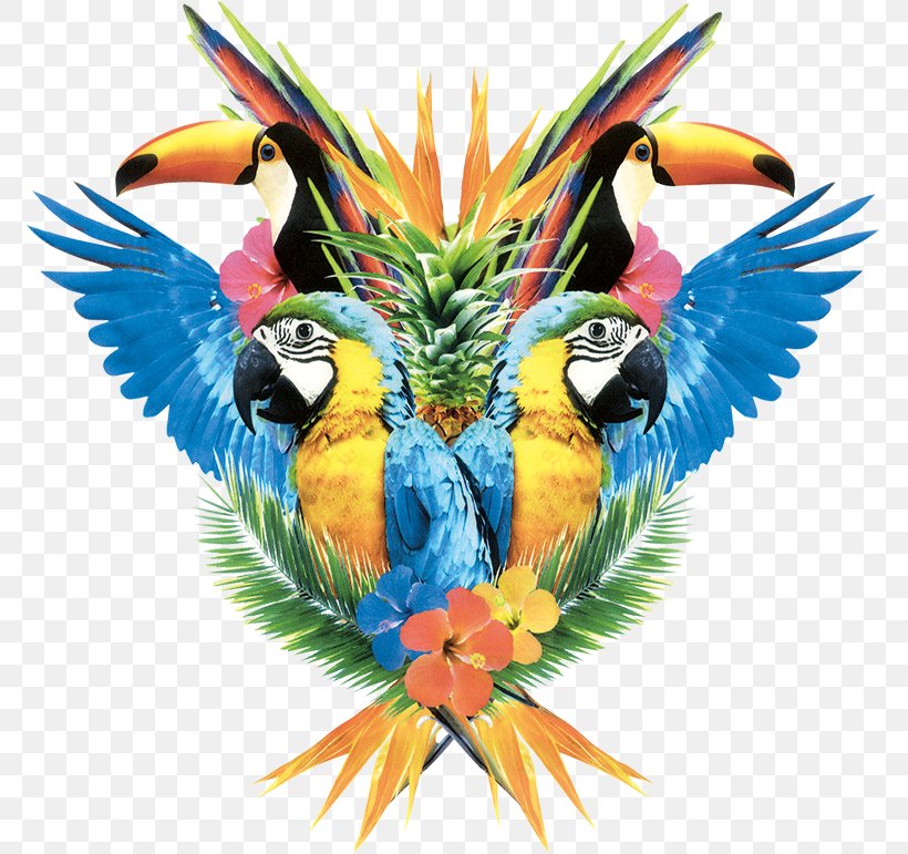 Pug Macaw Parrot Icon, PNG, 773x771px, Pug, Beak, Bird, Designer, Feather Download Free