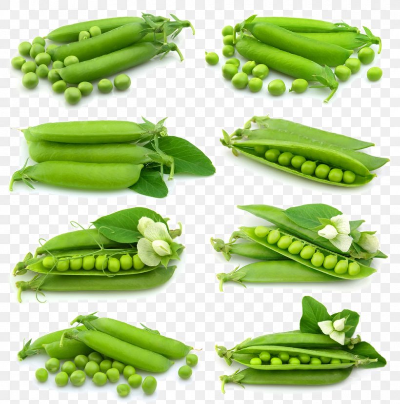 Snap Pea Vegetable Food, PNG, 990x1000px, Pea, Edamame, Food, Fruit, Ingredient Download Free