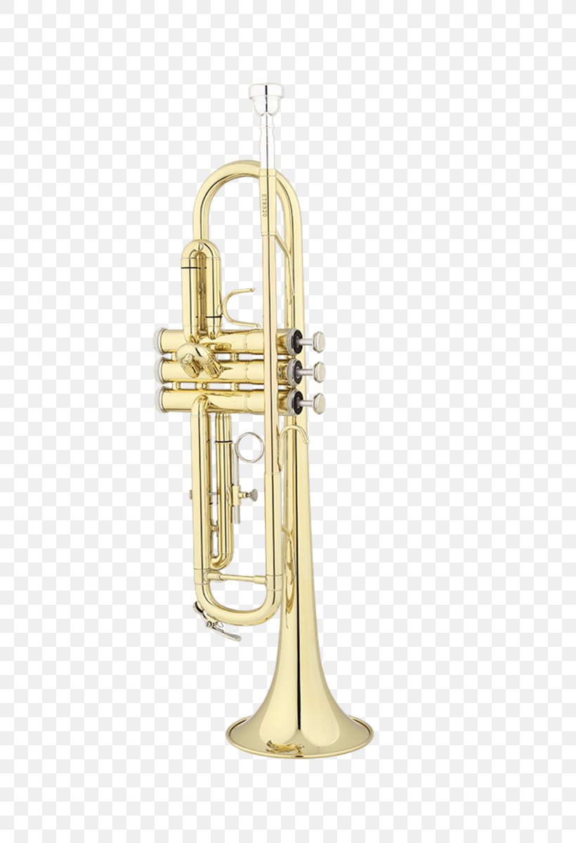 Trumpet Flugelhorn Wind Instrument Musical Instruments Brass Instruments, PNG, 800x1199px, Watercolor, Cartoon, Flower, Frame, Heart Download Free