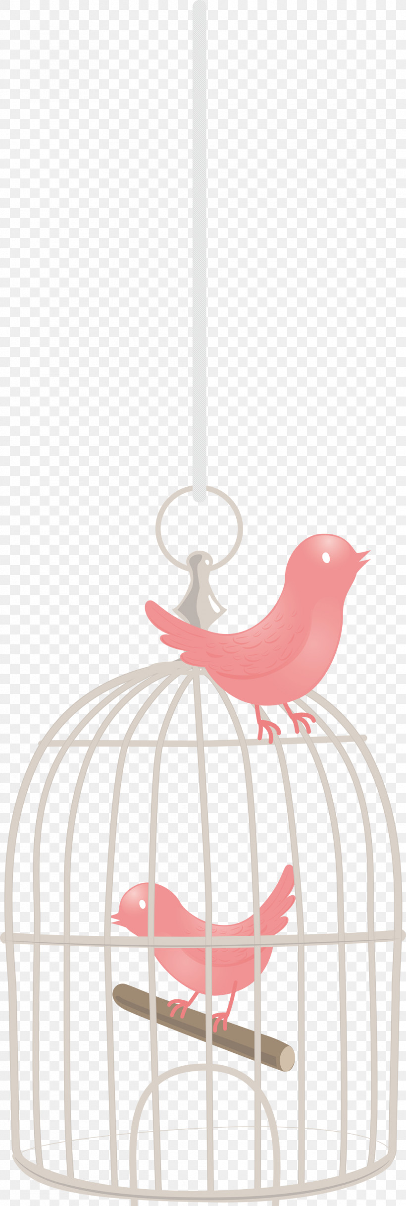 Bird Cage, PNG, 1011x3000px, Bird Cage, Light, Light Fixture, Physics, Science Download Free