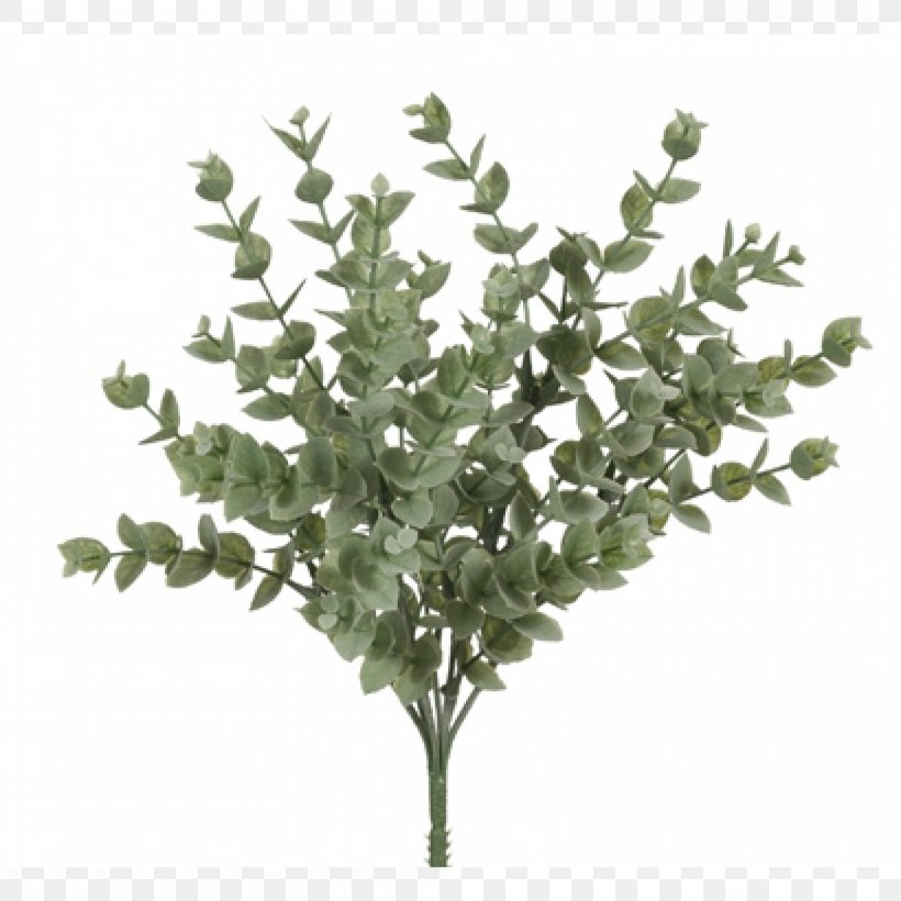 Branch Tree Twig Plant Stem Leaf, PNG, 2000x2000px, Branch, Flowerpot, Leaf, Lilac, Plant Download Free