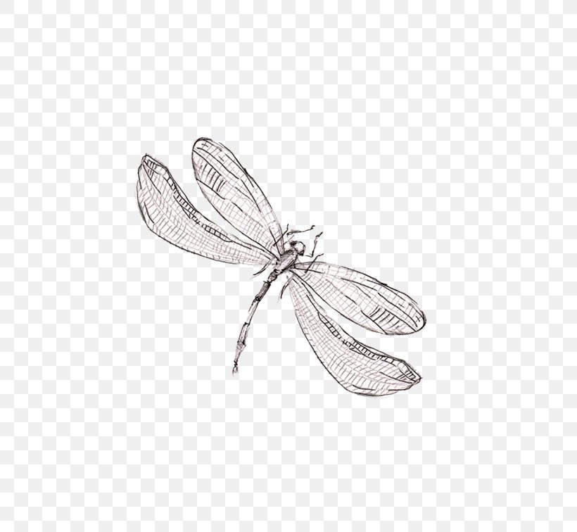 Dragonfly Graphic Design, PNG, 738x756px, Dragonfly, Art, Black And White, Insect, Invertebrate Download Free