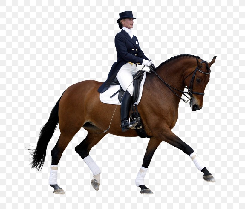 Horse Dressage International Federation For Equestrian Sports Eventing, PNG, 700x700px, Horse, Animal Sports, Animal Training, Bit, Bridle Download Free