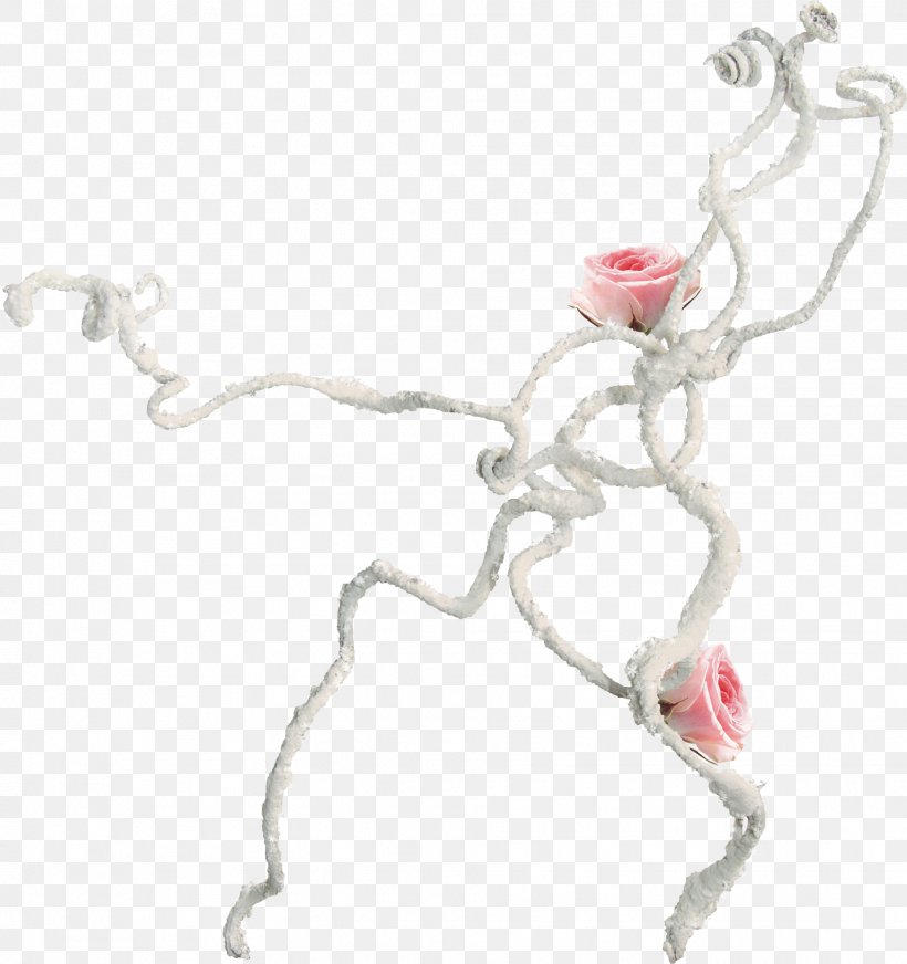 Photography Picture Frames Information Clip Art, PNG, 1931x2055px, Photography, Body Jewelry, Branch, Information, Jewellery Download Free