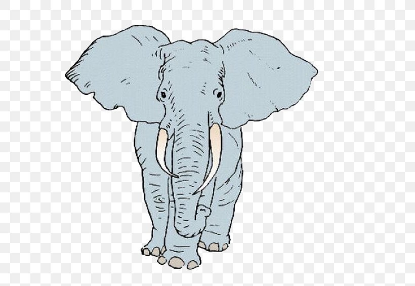 African Elephant Indian Elephant Cartoon Illustration, PNG, 575x565px, African Elephant, Animal, Art, Carnivora, Carnivoran Download Free