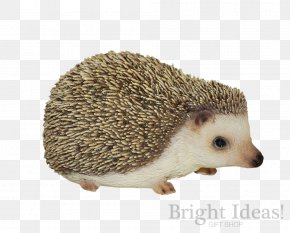 Hedgehog - Baby Hedgehogs Figurine Ornament Garden PNG