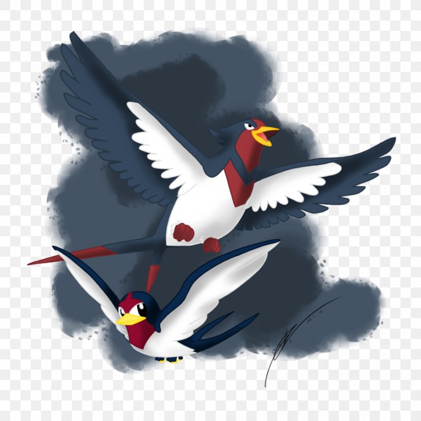 Beak Water Bird Feather, PNG, 894x894px, Beak, Bird, Feather, Water Bird, Wing Download Free