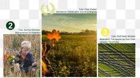 Energy - Ecosystem Advertising Meadow Energy Farm PNG