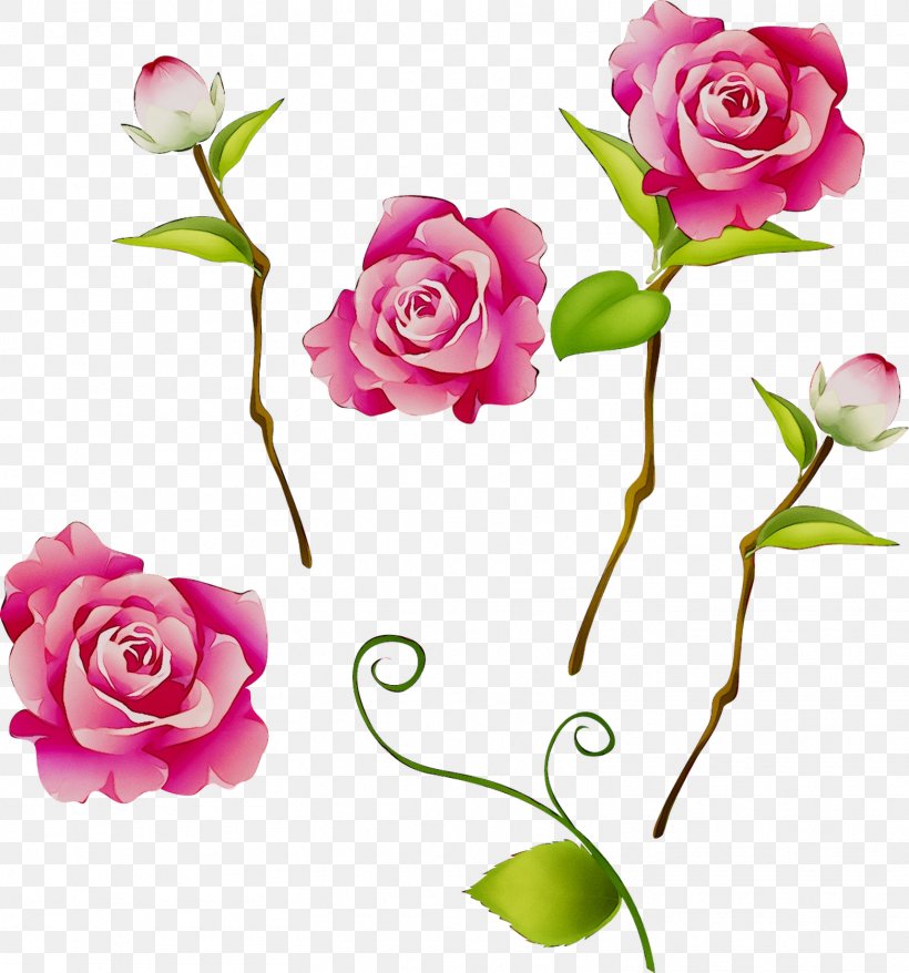 Garden Roses Image Clip Art Drawing, PNG, 1563x1675px, Garden Roses, Artificial Flower, Botany, Bud, Camellia Download Free