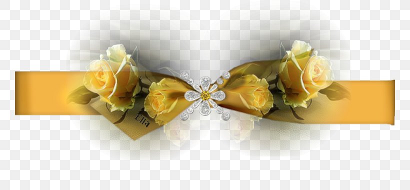 Jewellery Monday Happiness Yellow, PNG, 760x380px, Jewellery, Fashion Accessory, Happiness, Monday, Yellow Download Free