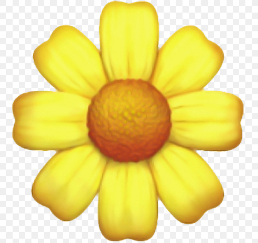 Yellow Petal Flower Plant Daisy Family, PNG, 750x774px, Yellow, Daisy Family, Flower, Petal, Plant Download Free