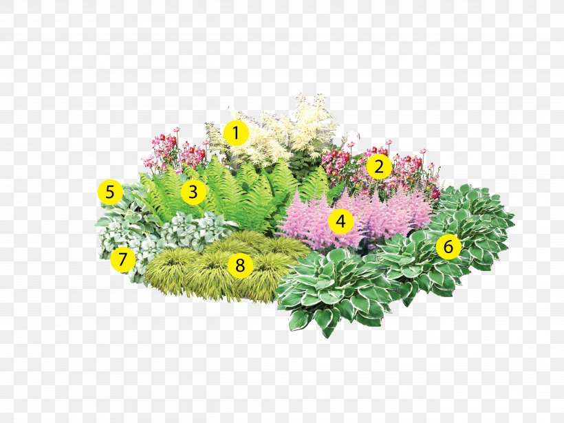 Bedding Flowerpot Garden Lawn Floral Design, PNG, 5253x3940px, Bedding, Annual Plant, Bratislava, Chrysanthemum, Chrysanths Download Free