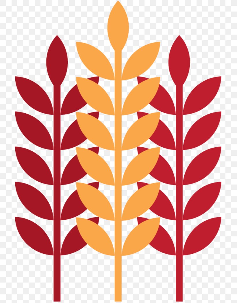 Clip Art Photography Vector Graphics Wheat, PNG, 730x1051px, Photography, Commodity, Image Resolution, Leaf, Plant Download Free