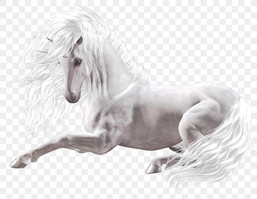 Horse Swiat Bez Ciebie Zaginiony Swiat Koni Book Unicorn, PNG, 1200x931px, Horse, Black And White, Book, Child, Drawing Download Free