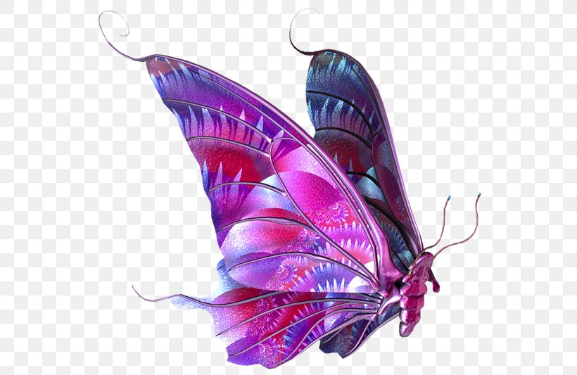 Butterfly Clip Art, PNG, 600x533px, Butterfly, Insect, Invertebrate, Moths And Butterflies, Paintshop Pro Download Free