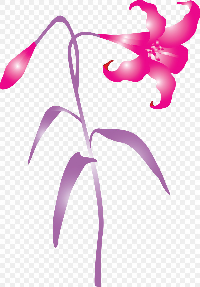 Easter Flower Spring Flower, PNG, 2089x3000px, Easter Flower, Cattleya, Flower, Herbaceous Plant, Impatiens Download Free
