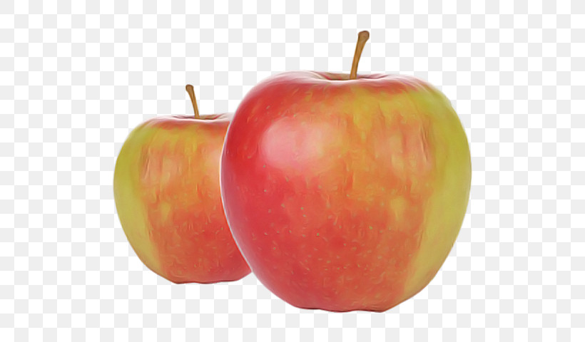 Mcintosh Red Elstar Golden Delicious Apple Jonagold, PNG, 600x480px, Mcintosh Red, Accessory Fruit, Apple, Apples, Elstar Download Free